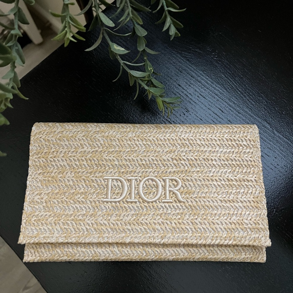 Christian Dior novelty clutch pouch 2023